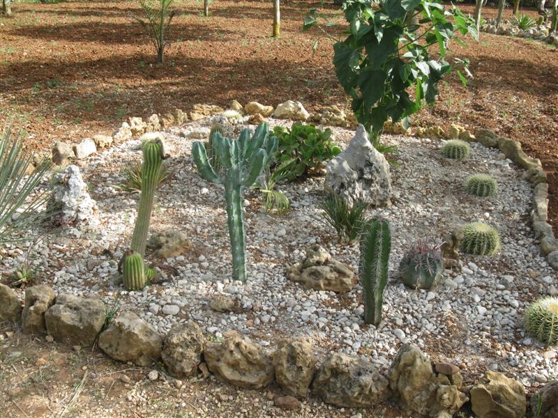 giardino_roccioso_1_medium_107.jpg