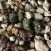 Vai alla scheda di Conophytum pellucidum ssp. cupreatum